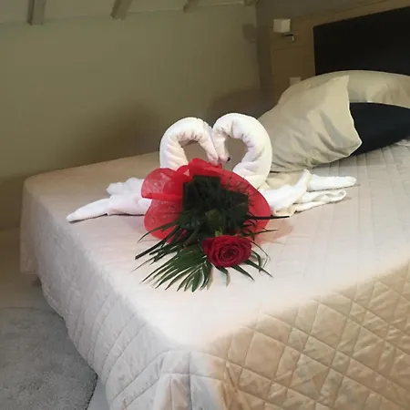 Rouge International Hotel 4*